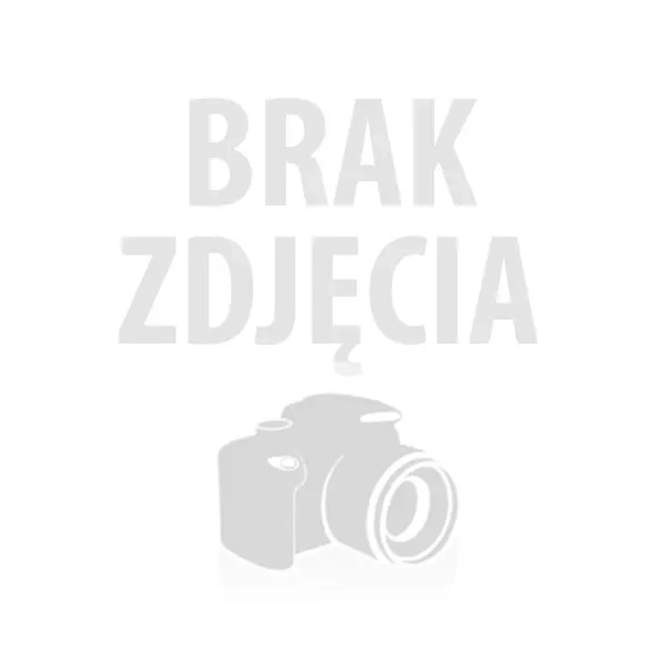 Plastikowa Huśtawka Dla Dzieci MASTER Pomarańczowa
