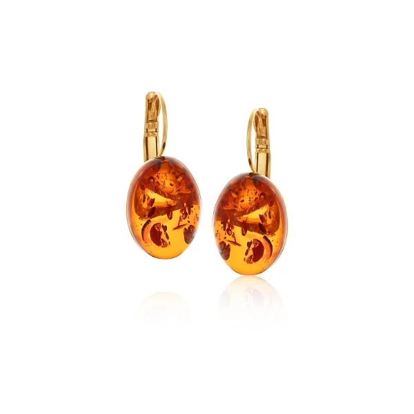Kolczyki z bursztynem z kolekcji Amber (P24/TYN/01AU)